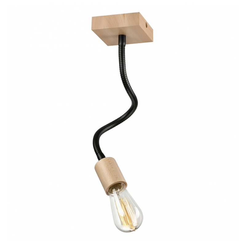 Pendul CAMERON negru 1x60W E27, metal